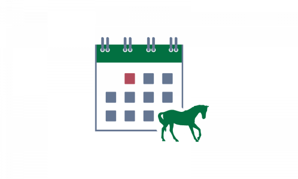 Equestrian Timetable