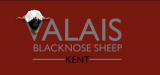 Valais Blacknose Sheep Kent